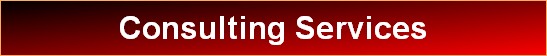Consulting Services